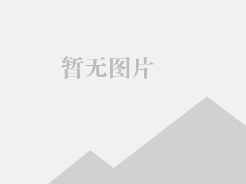 CLT/A 型系列旋风收尘器